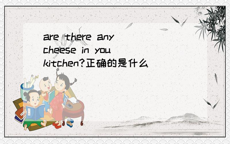 are there any cheese in you kitchen?正确的是什么