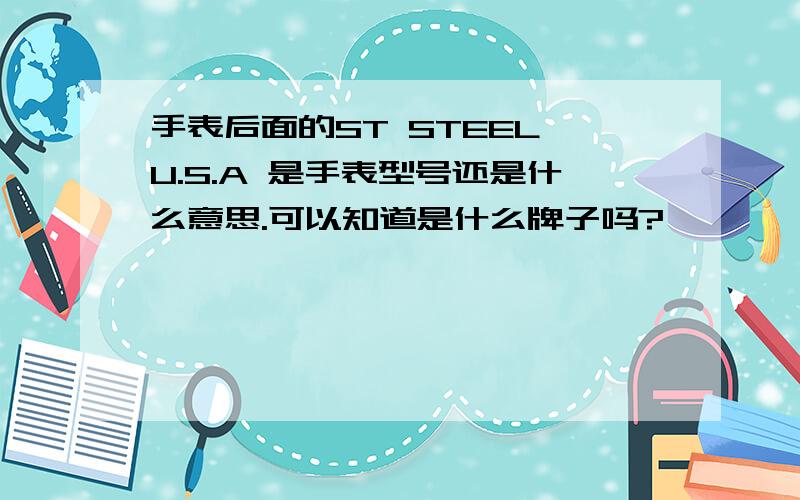 手表后面的ST STEEL U.S.A 是手表型号还是什么意思.可以知道是什么牌子吗?