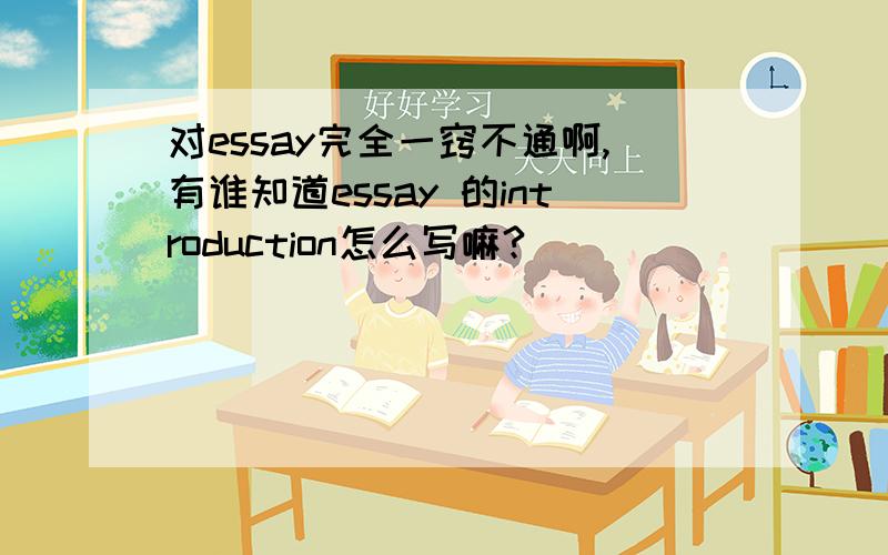 对essay完全一窍不通啊,有谁知道essay 的introduction怎么写嘛?