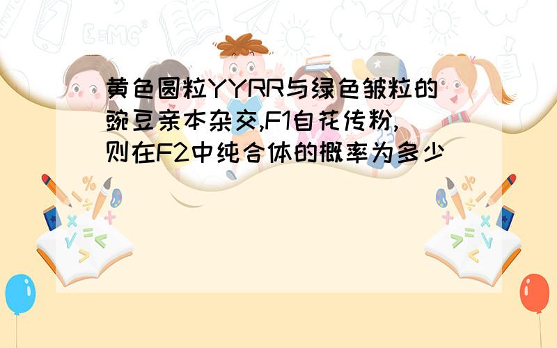 黄色圆粒YYRR与绿色皱粒的豌豆亲本杂交,F1自花传粉,则在F2中纯合体的概率为多少