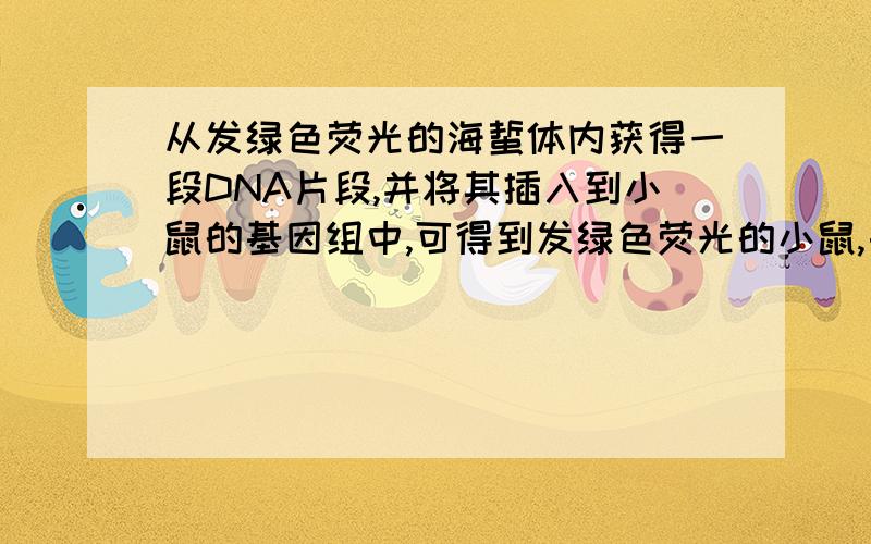 从发绿色荧光的海蜇体内获得一段DNA片段,并将其插入到小鼠的基因组中,可得到发绿色荧光的小鼠,由此可请分析各个选项,