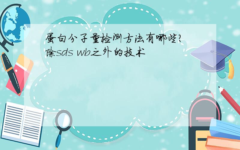 蛋白分子量检测方法有哪些? 除sds wb之外的技术