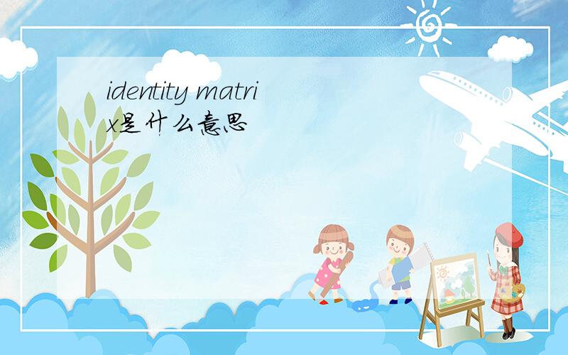 identity matrix是什么意思