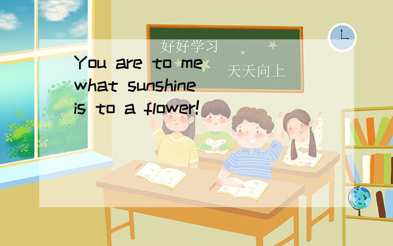 You are to me what sunshine is to a flower!