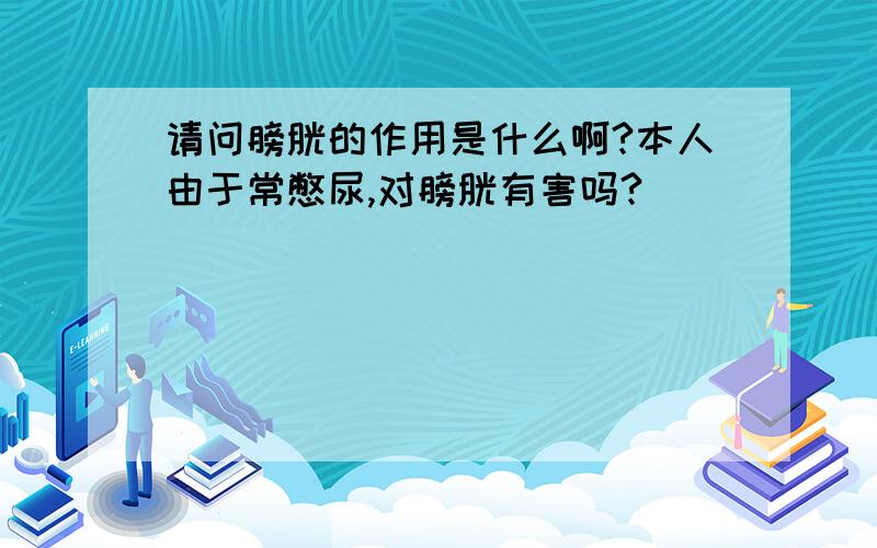 请问膀胱的作用是什么啊?本人由于常憋尿,对膀胱有害吗?