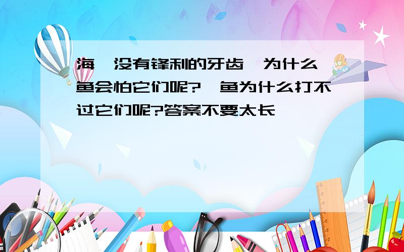 海豚没有锋利的牙齿,为什么鲨鱼会怕它们呢?鲨鱼为什么打不过它们呢?答案不要太长