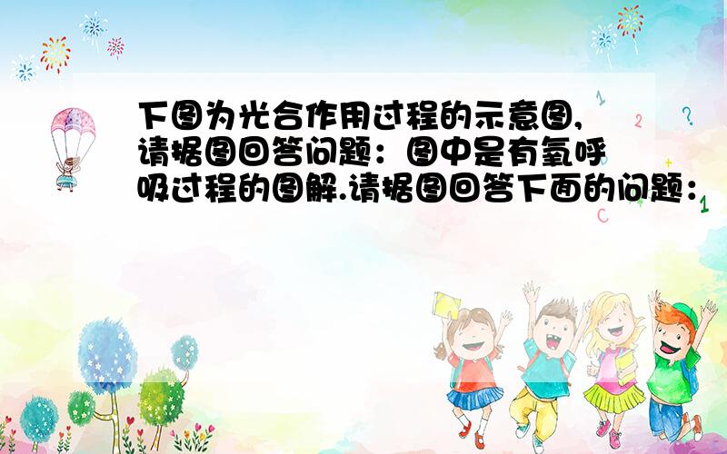 下图为光合作用过程的示意图,请据图回答问题：图中是有氧呼吸过程的图解.请据图回答下面的问题：（1）图中①、②、③所代表的物质分别是①___________、②___________、③___________.（2）有