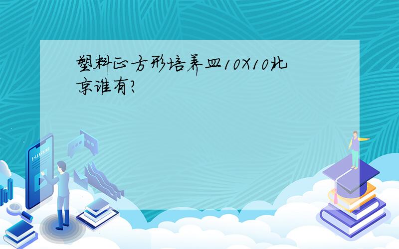 塑料正方形培养皿10X10北京谁有?