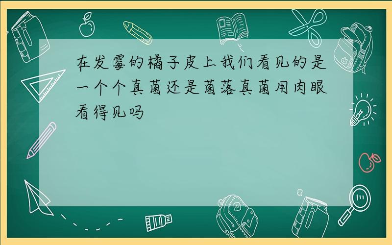 在发霉的橘子皮上我们看见的是一个个真菌还是菌落真菌用肉眼看得见吗