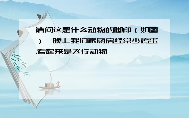 请问这是什么动物的脚印（如图）,晚上我们家厨房经常少鸡蛋.看起来是飞行动物、