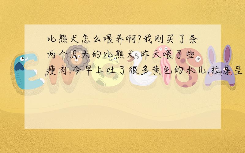 比熊犬怎么喂养啊?我刚买了条两个月大的比熊犬,昨天喂了些瘦肉,今早上吐了很多黄色的水儿,拉屎呈条状,现在什么都不吃了,水就喝两口就不喝了,现在就知道睡觉.什么情况,很着急,谢谢了!