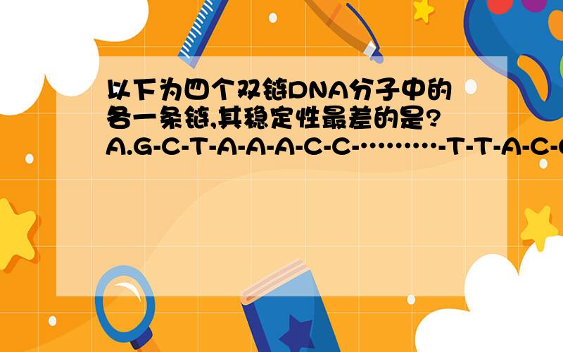 以下为四个双链DNA分子中的各一条链,其稳定性最差的是?A.G-C-T-A-A-A-C-C-………-T-T-A-C-G其中A占25%B.G-C-T-A-A-C-C-………-T-T-A-C-G-A其中T占30%C.G-C-A-A-C-C-………-T-T-A-C-G-T-A其中G占25%D.T-A-A-A-C-C-………-G-