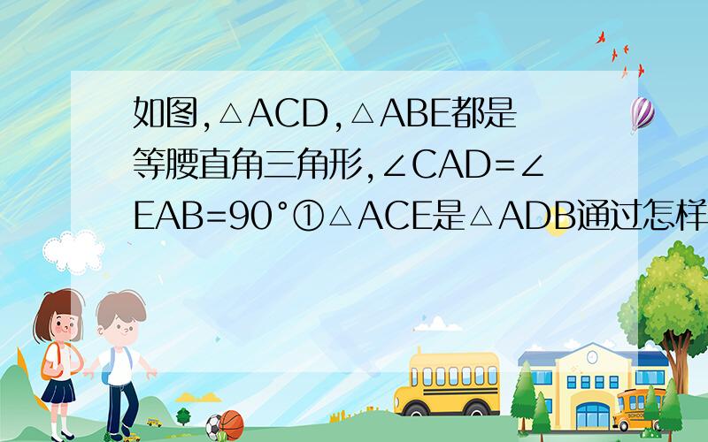 如图,△ACD,△ABE都是等腰直角三角形,∠CAD=∠EAB=90°①△ACE是△ADB通过怎样的变换而得到的?②观察并探索CE与BD的关系③设点F是CE与BD的交点请说明点A是否在∠DFE的平分线上④若将△ACD绕点A顺