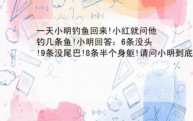 一天小明钓鱼回来!小红就问他钓几条鱼!小明回答：6条没头!9条没尾巴!8条半个身躯!请问小明到底钓几条