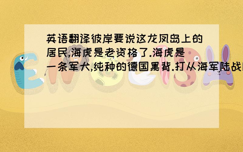 英语翻译彼岸要说这龙凤岛上的居民,海虎是老资格了.海虎是一条军犬,纯种的德国黑背.打从海军陆战队驻守龙凤岛以来,海虎就一直住在这里.兵换了一茬又一茬,海虎总是站在码头热泪盈眶地