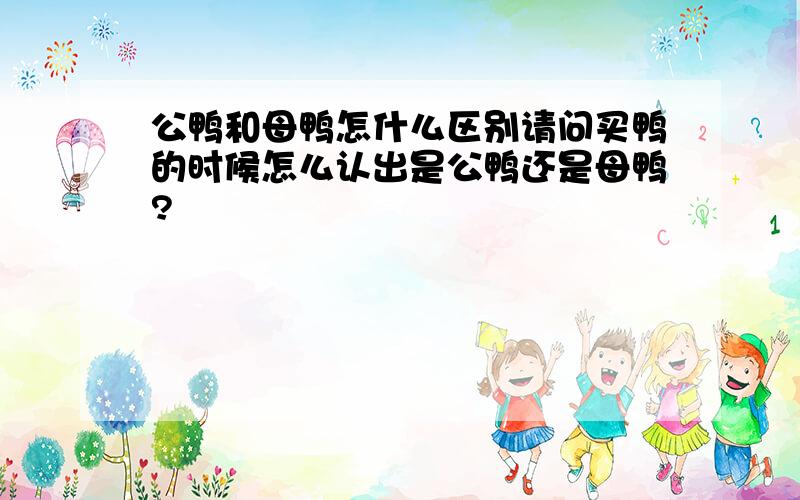 公鸭和母鸭怎什么区别请问买鸭的时候怎么认出是公鸭还是母鸭?