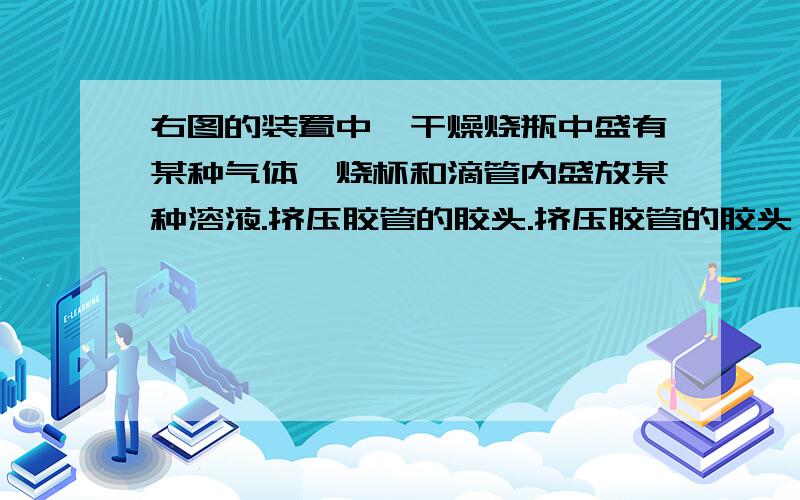 右图的装置中,干燥烧瓶中盛有某种气体,烧杯和滴管内盛放某种溶液.挤压胶管的胶头.挤压胶管的胶头,下列与试验事实不相符的是（    ）  A．CO2(NaHCO3溶液)无色喷泉         B．NH3(H2O含酚酞)红