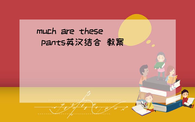 much are these pants英汉结合 教案