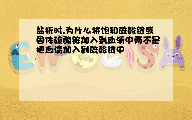 盐析时,为什么将饱和硫酸铵或固体硫酸铵加入到血清中而不是把血清加入到硫酸铵中