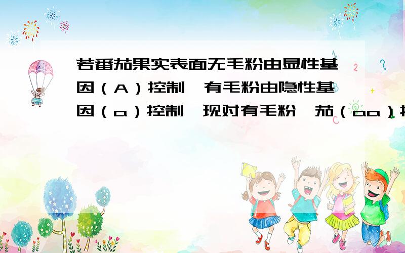 若番茄果实表面无毛粉由显性基因（A）控制,有毛粉由隐性基因（a）控制,现对有毛粉蕃茄（aa）授以无毛粉（Aa）蕃茄的花粉,该花发育成的果实应为果实表面（有毛）为什么?