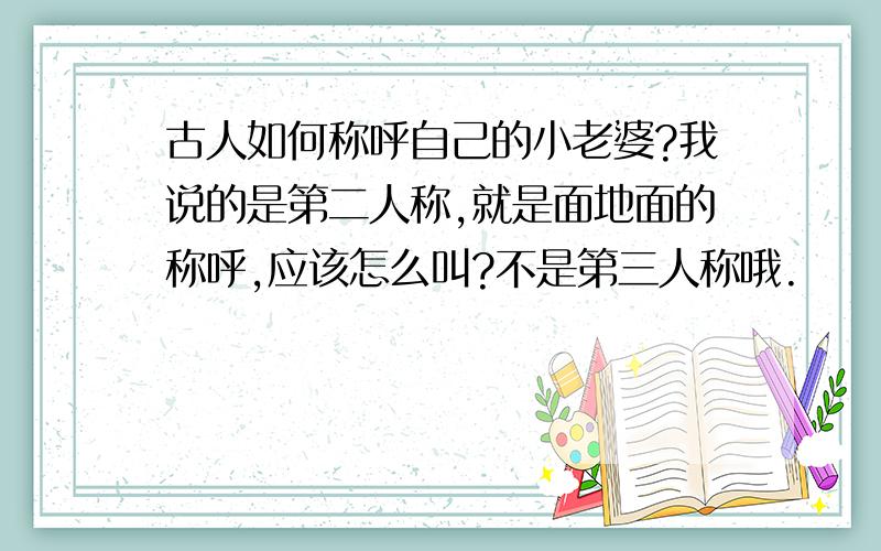 古人如何称呼自己的小老婆?我说的是第二人称,就是面地面的称呼,应该怎么叫?不是第三人称哦.