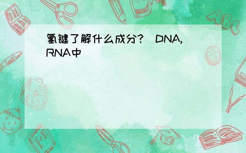 氢键了解什么成分?（DNA,RNA中）