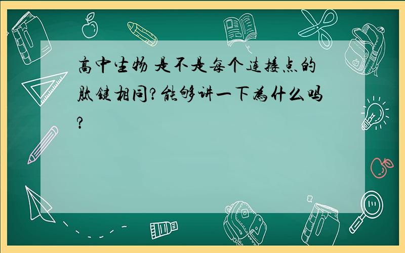 高中生物 是不是每个连接点的肽键相同?能够讲一下为什么吗?