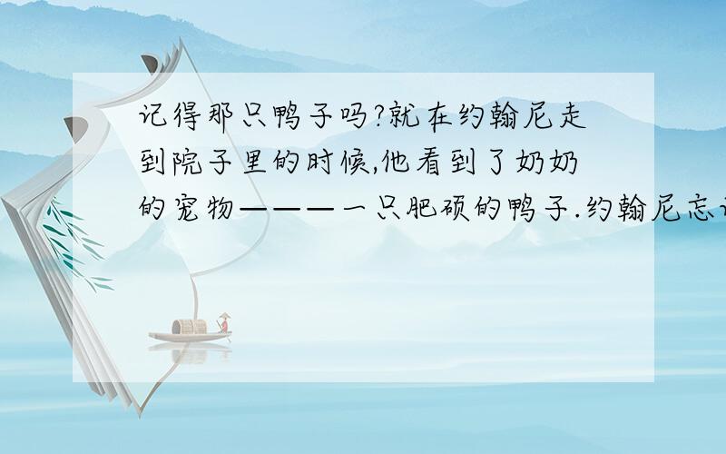 记得那只鸭子吗?就在约翰尼走到院子里的时候,他看到了奶奶的宠物———一只肥硕的鸭子.约翰尼忘记了刚才的失落,他拉开弹弓,饶有兴趣地对着那只晃晃悠悠走路的鸭子射击.说来也巧,这一