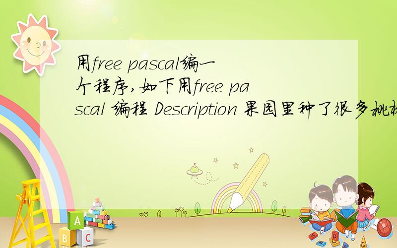 用free pascal编一个程序,如下用free pascal 编程 Description 果园里种了很多桃树,当桃树开始结果的时候,猴子便会成群结队地前来摘桃.猴子们第一天会摘掉桃子的一半还多一个,第二天再摘第一天