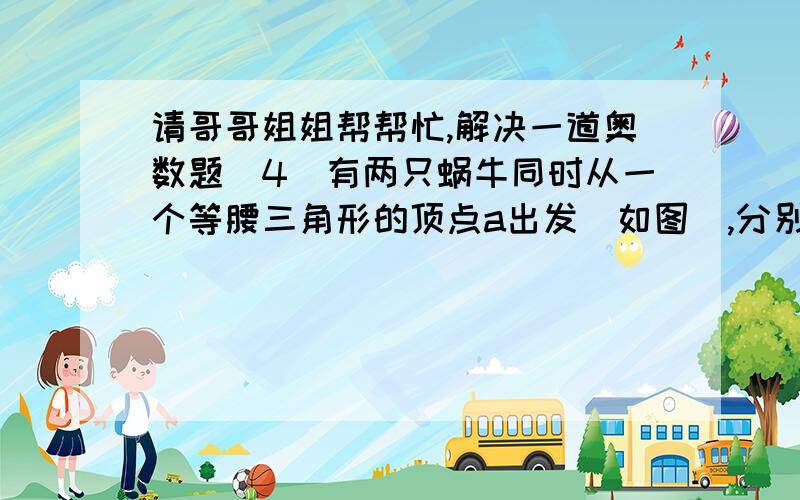 请哥哥姐姐帮帮忙,解决一道奥数题(4)有两只蜗牛同时从一个等腰三角形的顶点a出发(如图),分别沿着两腰爬行.一只蜗牛每分钟行2．5米,另一只蜗牛每分钟行2米,8分钟后在离c点6米处的p点相遇,