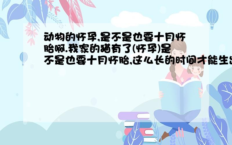 动物的怀孕,是不是也要十月怀胎啊.我家的猫有了(怀孕)是不是也要十月怀胎,这么长的时间才能生出来啊