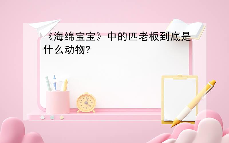 《海绵宝宝》中的匹老板到底是什么动物?