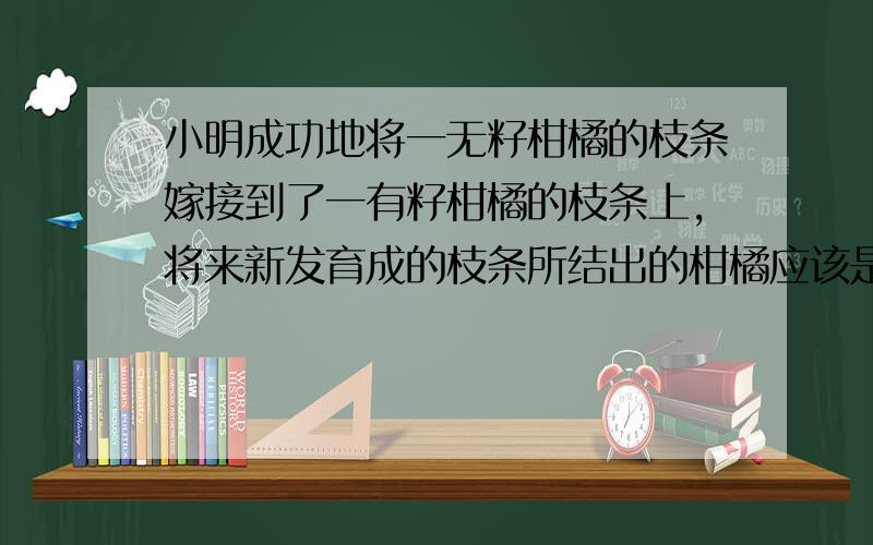 小明成功地将一无籽柑橘的枝条嫁接到了一有籽柑橘的枝条上,将来新发育成的枝条所结出的柑橘应该是 （ ）A.全部为有籽柑橘 B.全部为无籽柑橘 C.一半有籽,一半无籽 D.受环境影响,无法确定