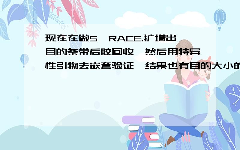 现在在做5,RACE.扩增出目的条带后胶回收,然后用特异性引物去嵌套验证,结果也有目的大小的条带扩增出来回收的片段1K左右