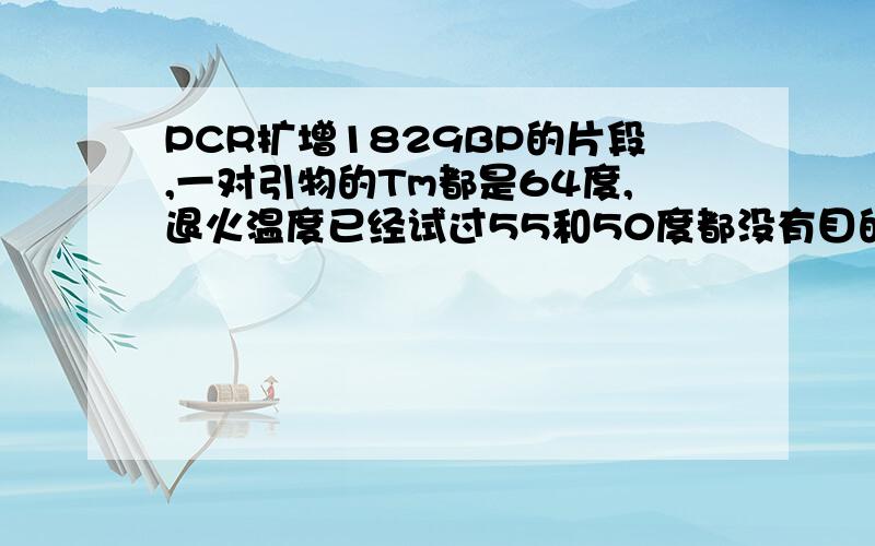 PCR扩增1829BP的片段,一对引物的Tm都是64度,退火温度已经试过55和50度都没有目的条带,请教pcr设置参数在55和50度只看到引物二聚体且有拖尾现象,没有目的条带