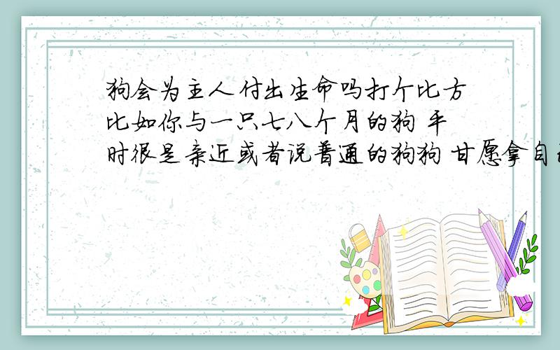 狗会为主人付出生命吗打个比方比如你与一只七八个月的狗 平时很是亲近或者说普通的狗狗 甘愿拿自己的生命换主人的生命吗 是指比喻无知者 请勿回答