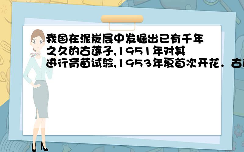 我国在泥炭层中发掘出已有千年之久的古莲子,1951年对其进行育苗试验,1953年夏首次开花．古莲子在泥炭层中未萌发,下列解释错误的是（　　）A．缺乏充足的氧气B．缺乏适宜的温度C．缺乏