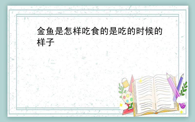 金鱼是怎样吃食的是吃的时候的样子