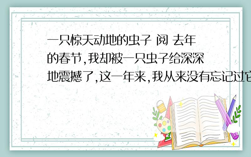 一只惊天动地的虫子 阅 去年的春节,我却被一只虫子给深深地震撼了,这一年来,我从来没有忘记过它,它就像一盏灯,在我心情最灰暗的时刻,送来一缕明媚的光.如今我写着以上的文字,想要描述