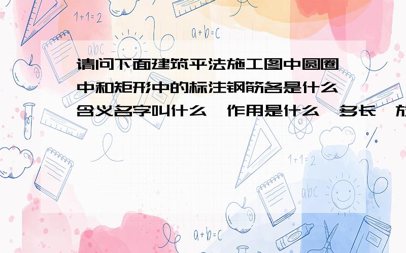 请问下面建筑平法施工图中圆圈中和矩形中的标注钢筋各是什么含义名字叫什么,作用是什么,多长,放在什么位置.最好有示意图.