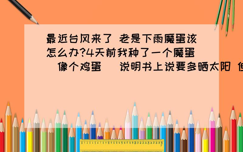 最近台风来了 老是下雨魔蛋该怎么办?4天前我种了一个魔蛋（像个鸡蛋） 说明书上说要多晒太阳 但最近“莫拉克”台风来了么 天天下雨 该怎么办呀