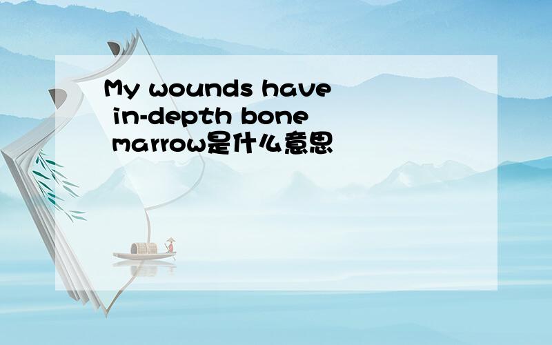 My wounds have in-depth bone marrow是什么意思