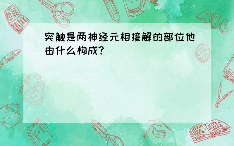 突触是两神经元相接解的部位他由什么构成?