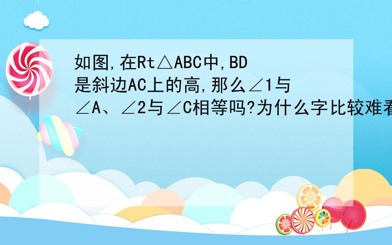 如图,在Rt△ABC中,BD是斜边AC上的高,那么∠1与∠A、∠2与∠C相等吗?为什么字比较难看- -请无视