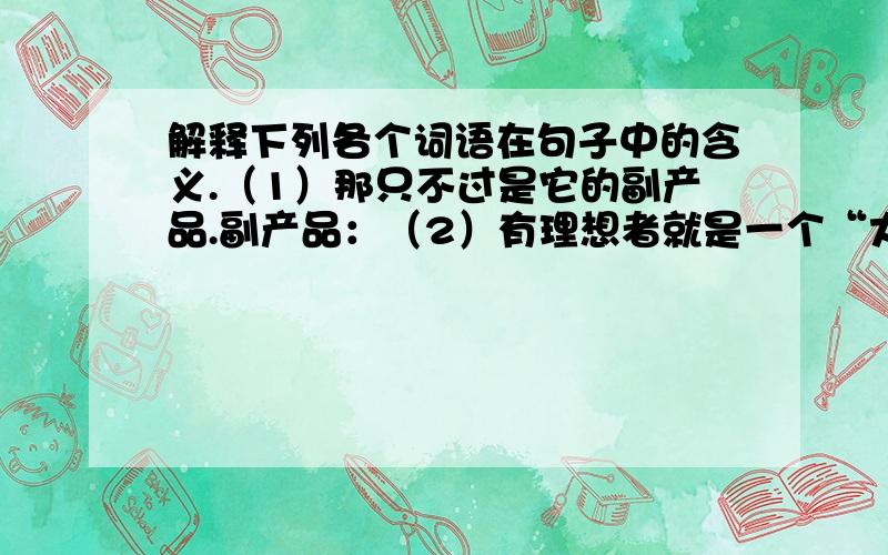 解释下列各个词语在句子中的含义.（1）那只不过是它的副产品.副产品：（2）有理想者就是一个“大写的人”大写的人：（3）理想被扒窃了,不必哭泣.扒窃：（4）可望不可即,折磨着你那进