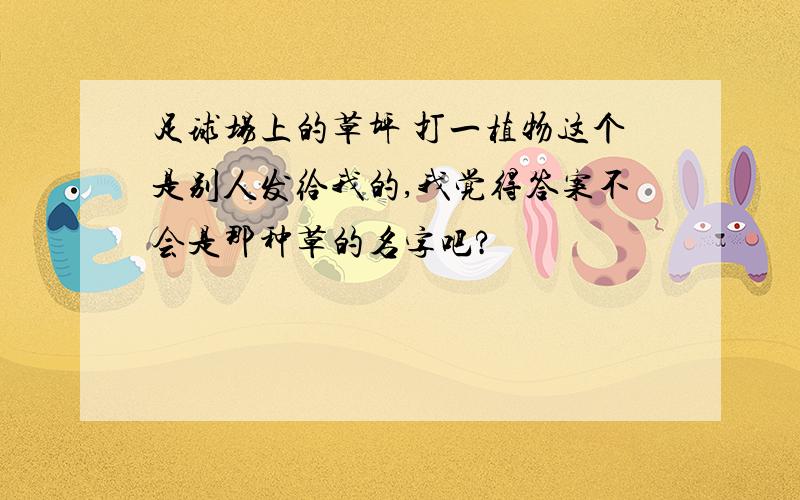 足球场上的草坪 打一植物这个是别人发给我的,我觉得答案不会是那种草的名字吧?