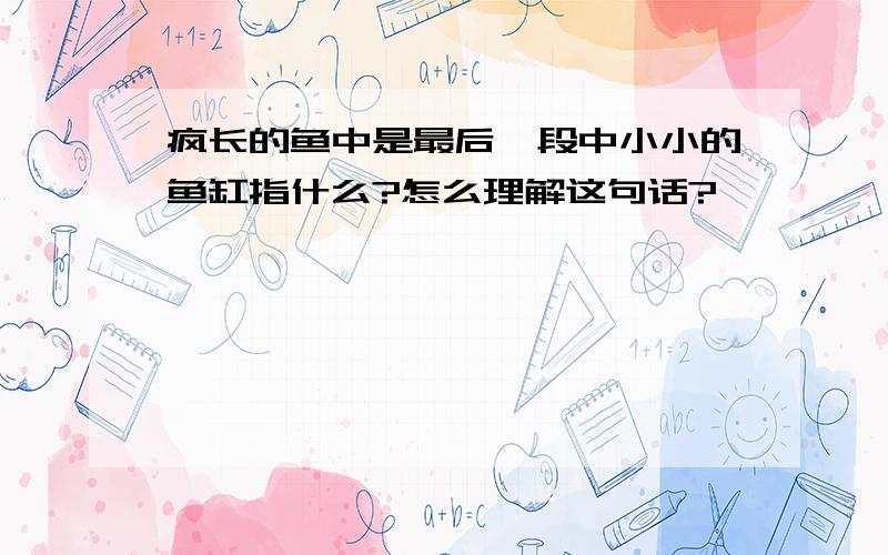 疯长的鱼中是最后一段中小小的鱼缸指什么?怎么理解这句话?