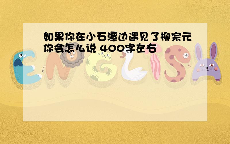 如果你在小石潭边遇见了柳宗元你会怎么说 400字左右