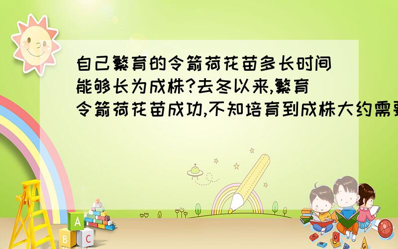 自己繁育的令箭荷花苗多长时间能够长为成株?去冬以来,繁育令箭荷花苗成功,不知培育到成株大约需要几年啊?有经验的爱好者告诉我,指导我!更有高分酬谢哟!是否用特殊的营养液?用什么土