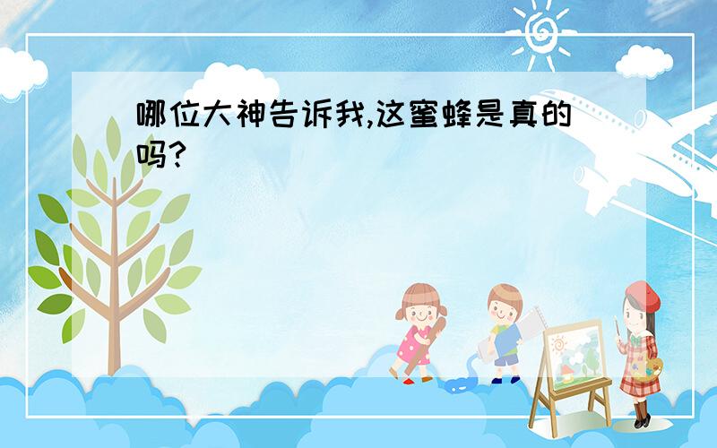 哪位大神告诉我,这蜜蜂是真的吗?